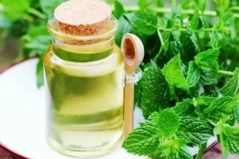 تصویر 2 از فروش عرق نعنا خانگی + قیمت خرید به صرفه